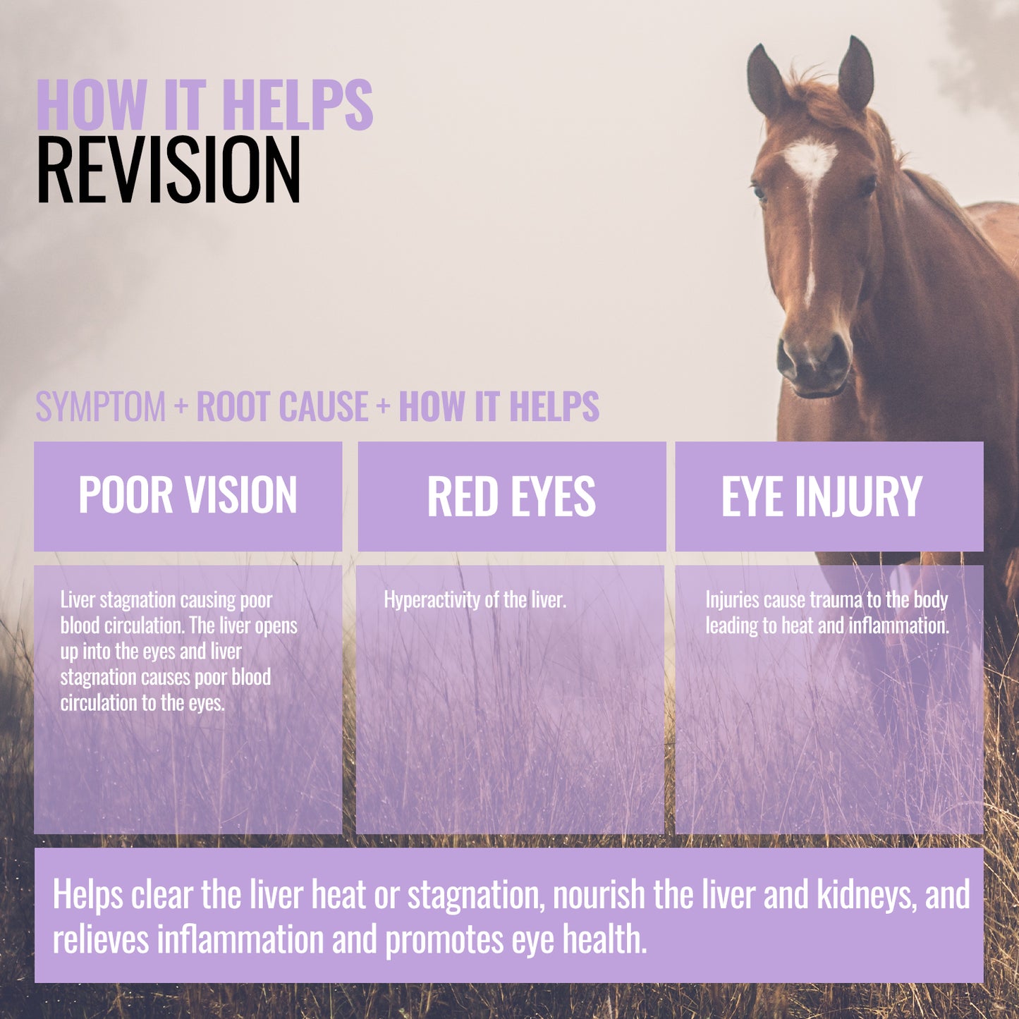 Revision