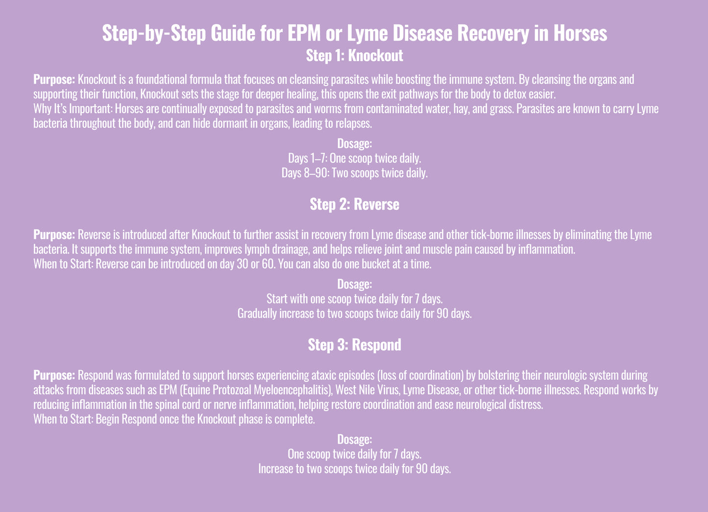 EPM or Lyme Disease Bundle