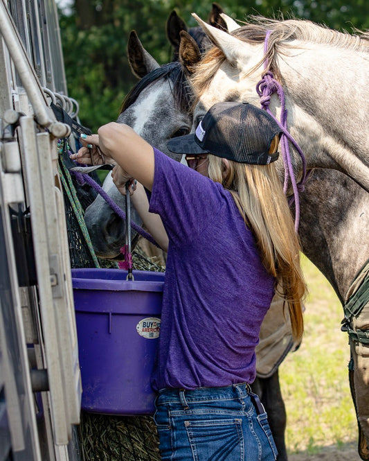 Why Horses Drink Less Water When the Weather Turns Cold