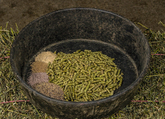 How Inflammation Leads to Malabsorption