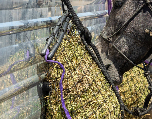 “Forage-Only Didn’t Work for My Horse”