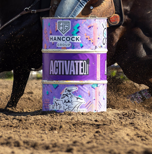 Top 5 Products for Your Performance Horse
