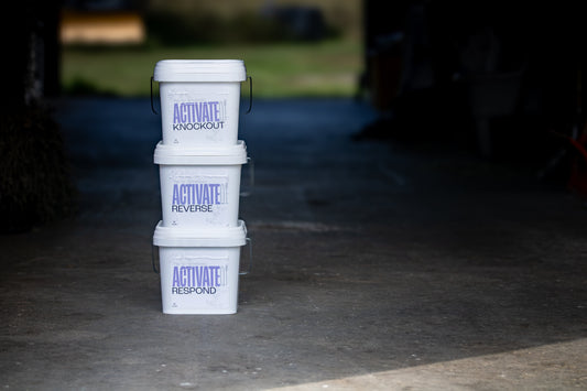 Why Do Horses Keep Relapsing with EPM or Lyme Disease?