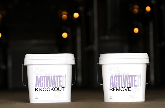 Overlooked Root Causes of Horse Health Issues: Parasites & Heavy Metal Toxicity