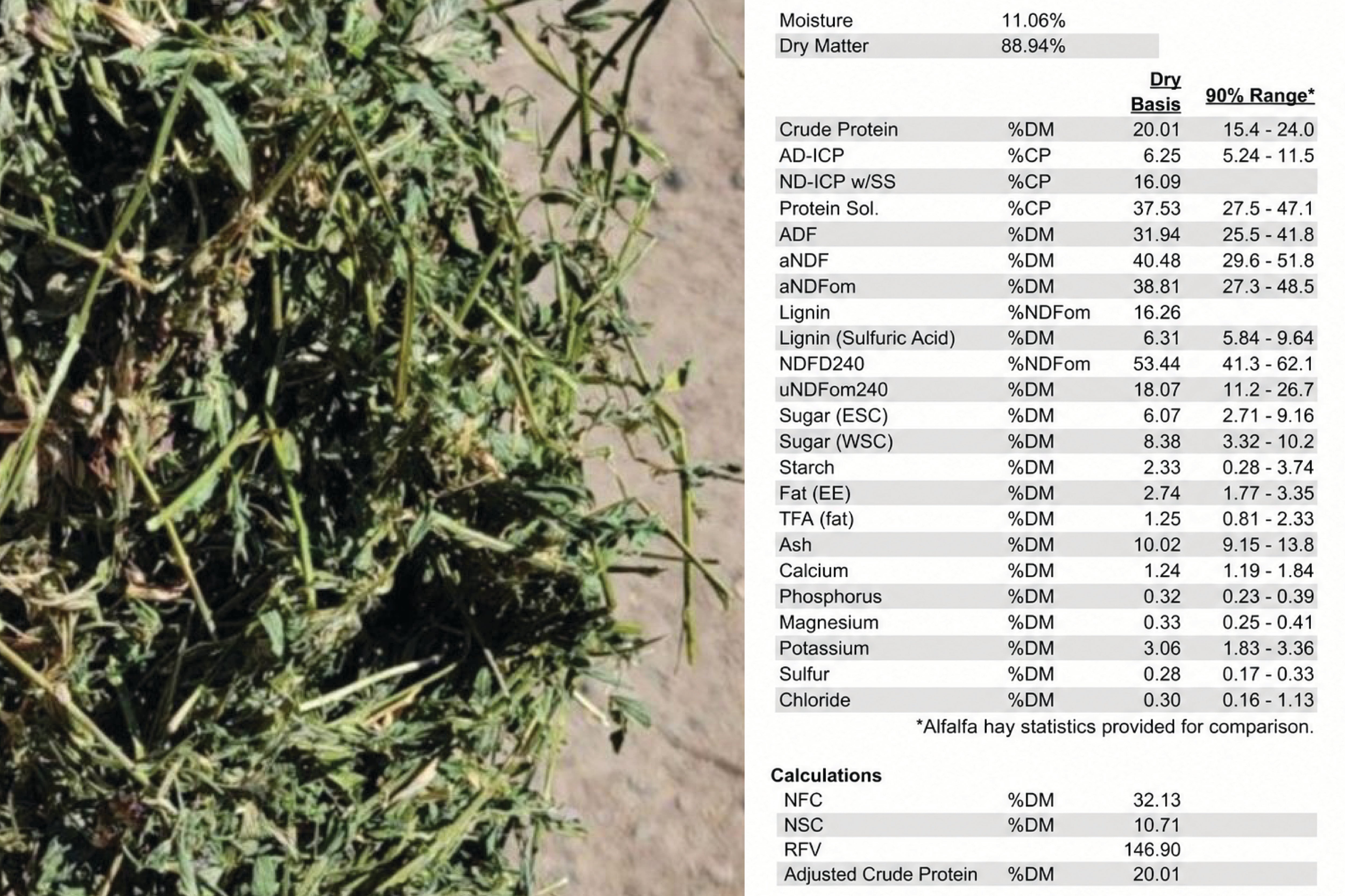 What to Look for in a Hay Test – ActivateQI