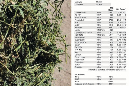 What to Look for in a Hay Test