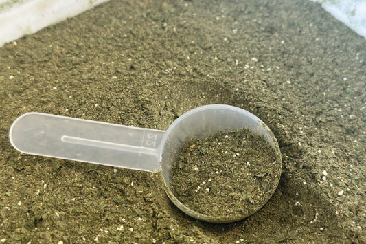 What Does Pharmaceutical-Grade Mean?