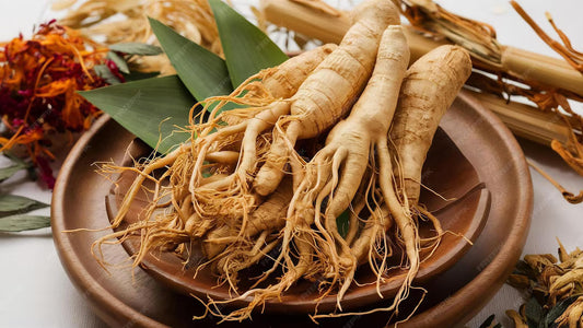 Understanding Herbs: Quality, Potency, and Formulation