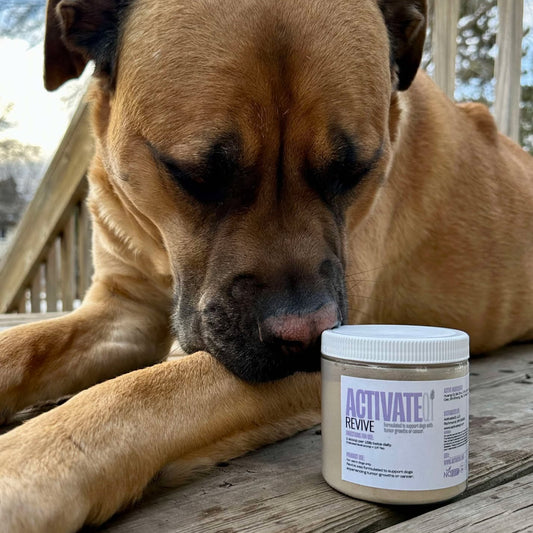 dog with jar of Revive by ActivateQi