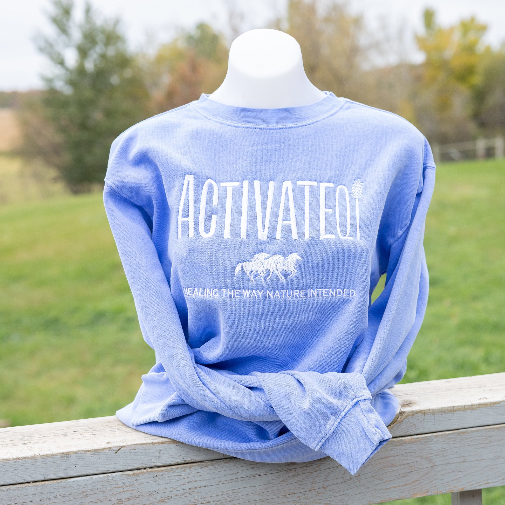 Blue sweatshirt with 'ACTIVATEQI' text on a mannequin against a natural background
