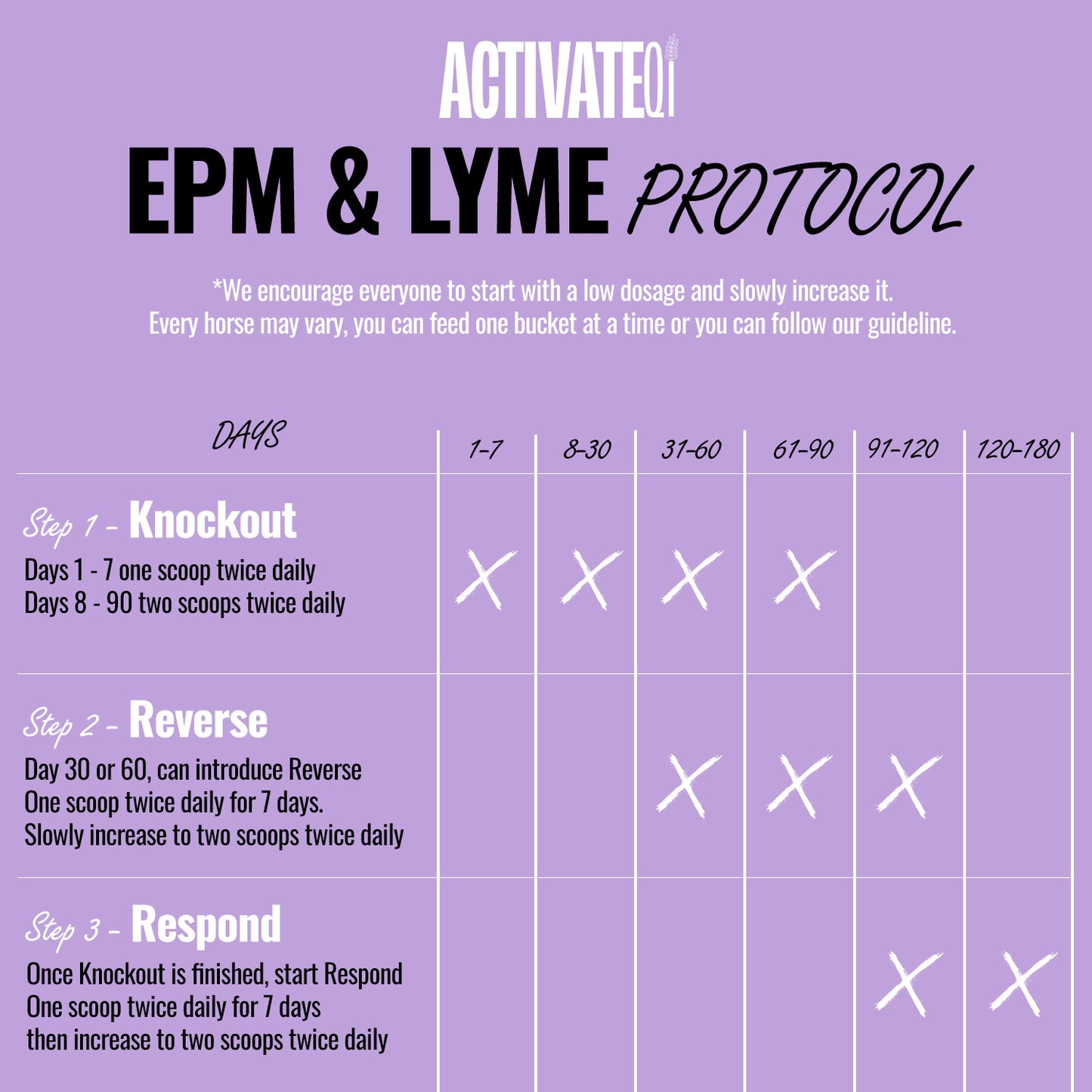 EPM or Lyme Disease Bundle