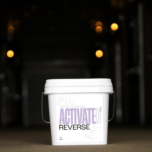 White bucket with 'Activate Reverse' text on a dark background