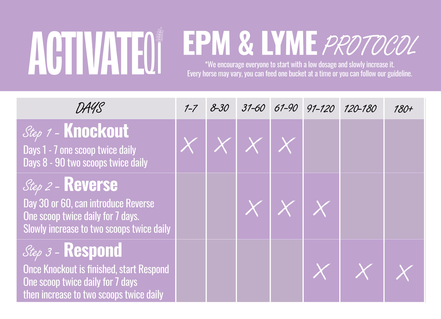 EPM or Lyme Disease Bundle